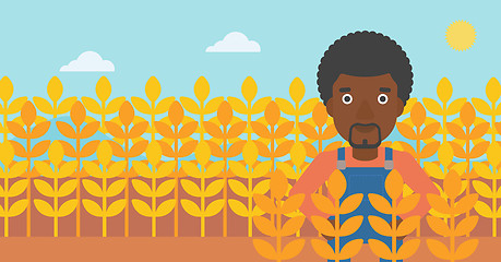 Image showing Man in wheat field.