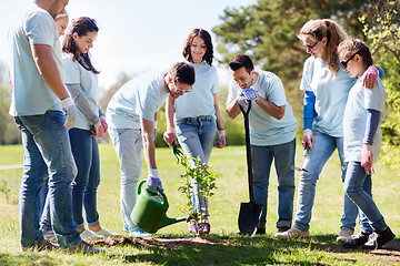 Image showing group of volunteers planting and watering tree