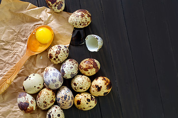 Image showing quail eggs