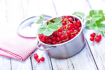 Image showing red currant