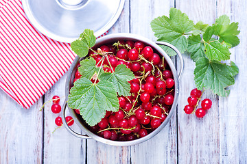 Image showing red currant