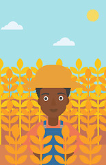 Image showing Man in wheat field.