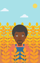 Image showing Man in wheat field.