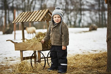 Image showing Boy on the farm