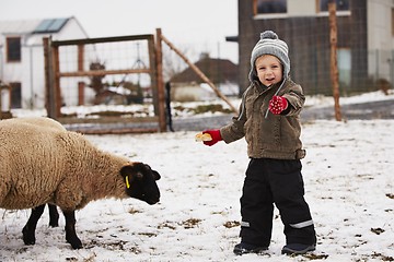 Image showing Boy on the farm