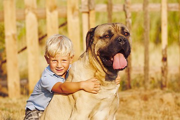 Image showing Little boy with large dog