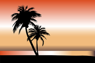 Image showing Palm Tree Horizon