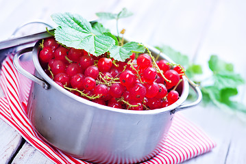 Image showing red currant