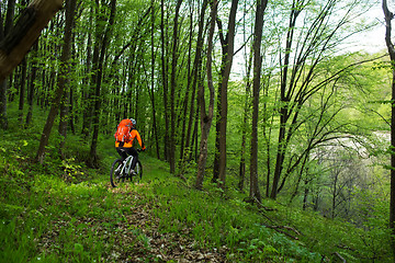 Image showing Biker on the forest road