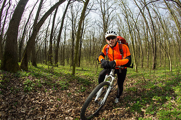 Image showing Biker on the forest road