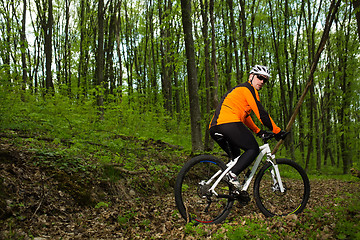 Image showing Cyclist Riding the Bike on a Trail in Summer Forest