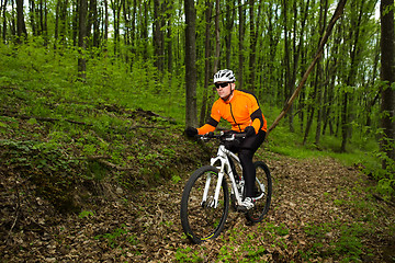 Image showing Cyclist Riding the Bike on a Trail in Summer Forest