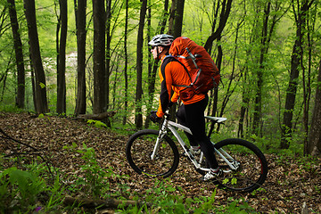 Image showing Biker on the forest road