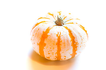 Image showing Miniature Pumpkin