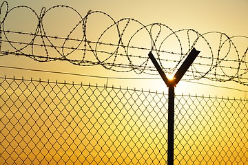 Image showing Barbed wire