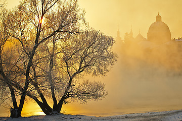 Image showing Frosty morning