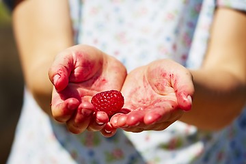 Image showing Fresh raspberry