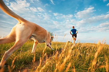 Image showing Sport lifestyle with dog.