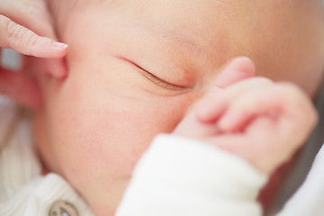 Image showing Newborn