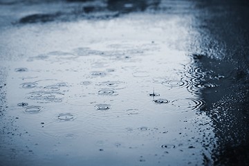 Image showing Rain