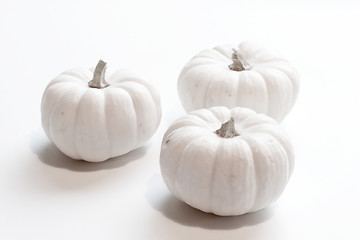 Image showing Miniature Pumpkin