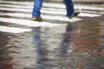 Image showing Zebra crossing in rain