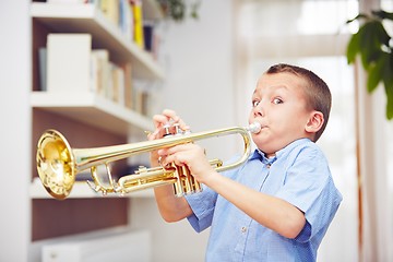 Image showing Little trumpeter