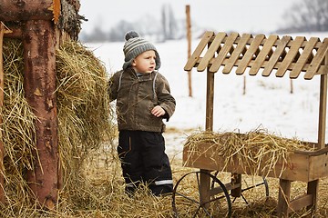 Image showing Boy on the farm