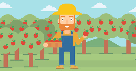 Image showing Farmer collecting apples.