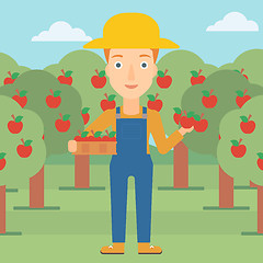 Image showing Farmer collecting apples.