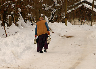 Image showing The Carrier