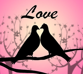 Image showing Love Doves Represents Compassionate Tenderness And Heart