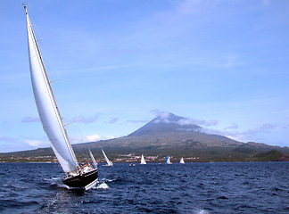 Image showing boats in championship