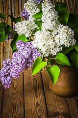 Image showing Still-life with a bouquet of lilac, close up