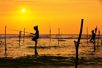 Image showing Stilt fishing