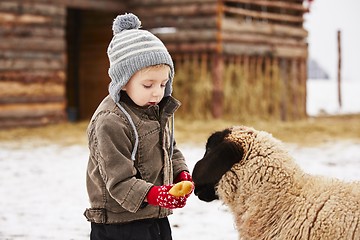 Image showing Boy on the farm