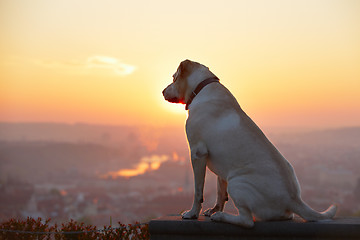 Image showing Sunrise in the city