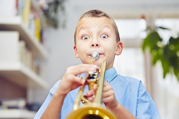 Image showing Little trumpeter