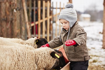 Image showing Boy on the farm