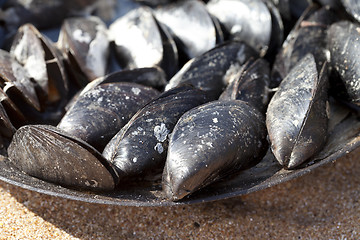 Image showing Freshly cooked mussels in metal tray on sand beach