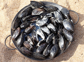 Image showing Freshly cooked mussels in metal tray on sand beach