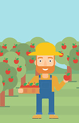 Image showing Farmer collecting apples.