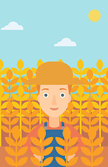 Image showing Man in wheat field.