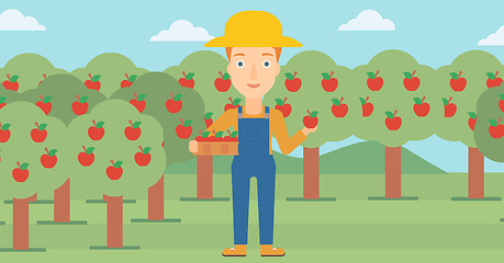 Image showing Farmer collecting apples.