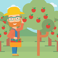 Image showing Farmer collecting apples.