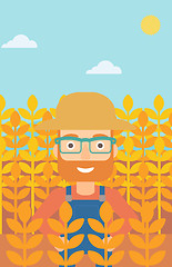 Image showing Man in wheat field.