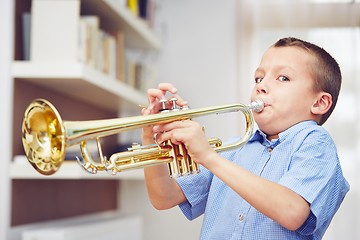 Image showing Little trumpeter