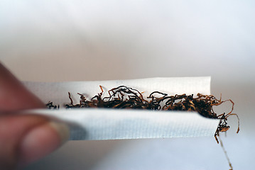 Image showing Rolling a Cigarette