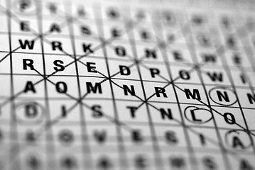 Image showing Wordsearch