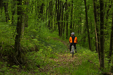 Image showing Biker on the forest road